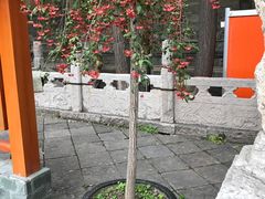 -西安化觉巷清真大寺