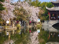 -棠湖公园