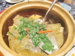 砂锅藤椒焗多宝鱼-新雅(丰盛里店)