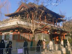 -趵突泉景区