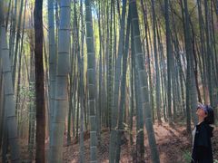 -青龙山国家森林公园