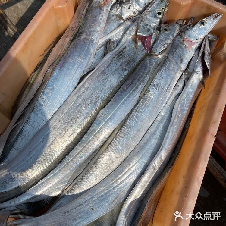 新村码头!海鲜买到爽,帮你避坑!