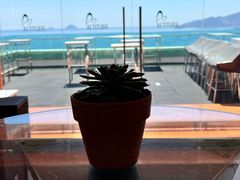 -芽庄喜来登水疗酒店