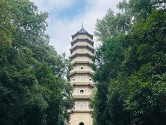 -灵谷景区