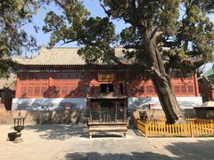 -中岳庙