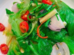 大丰收生菜-顺峰(农展馆店)