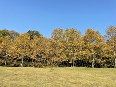 -钟山体育运动公园