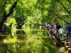 -西溪南古村落景区