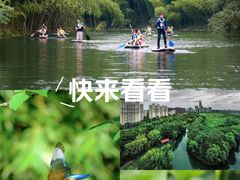 -新江湾城公园