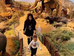 -陕西自然博物馆