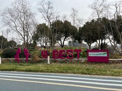 -贡湖湾湿地公园