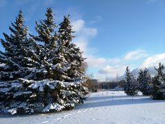 胜利广场-胜利广场