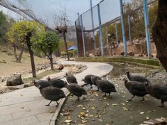 -森林公园(尖草坪区)