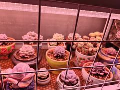 -琥珀老六龙虾(四里河店)