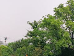 -北京周口店北京人遗址博物馆