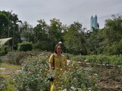 -人民公园(罗湖区)