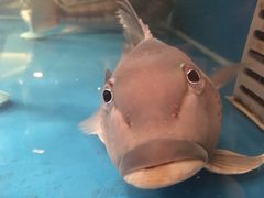 -同乐酒楼(皇后镇店)