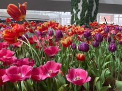 -渡娘火锅(大兴大悦春风里店)