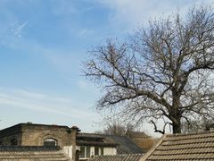 -后海16号·北京私房菜