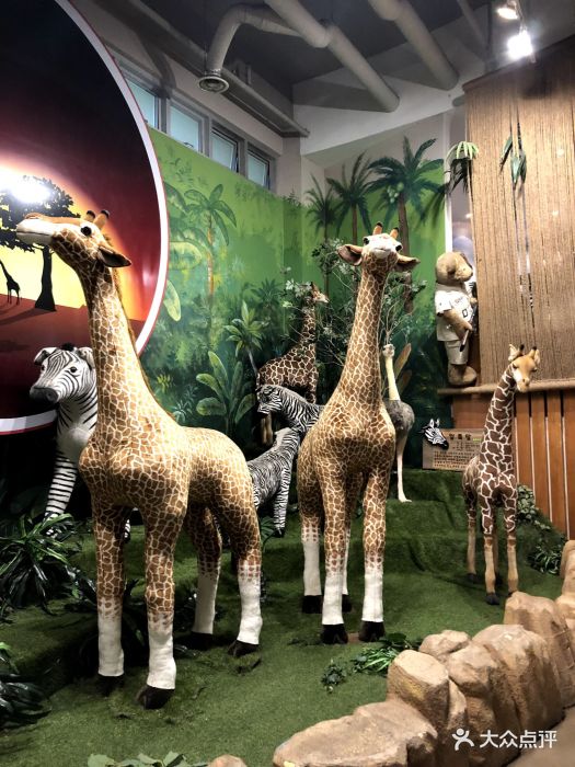 济州岛泰迪熊主题乐园图片 - 第16张