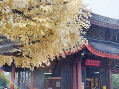 -广东圆玄道观