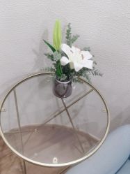 点击看大图 -薇薇安花系SPA