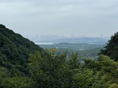 -韬光茶庵