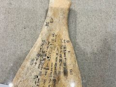 -长沙简牍博物馆