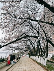 -晴川假日酒店·宴会厅·会议厅