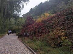 -仙居谷风景区