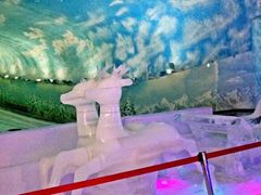 -世界之窗阿尔卑斯冰雪世界
