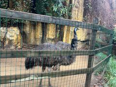 -石家庄市动物园