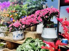 -双季花艺园艺市场(浦东店)