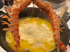 -鲜入围煮花胶鸡海鲜火锅