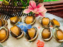 -万家宴海鲜大酒楼(五四路店)