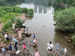 -重庆彩云湖湿地公园