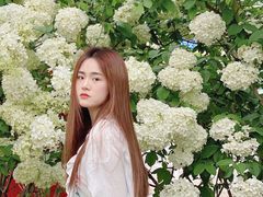 -大龙山(地铁站)