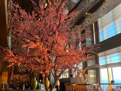 -金轩中餐厅 Jin Xuan(浦东丽思卡尔顿酒店)