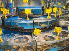 -丁字口海鲜热炒·烧烤大排档