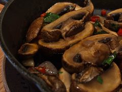 -Bco豆库(星耀天地店)