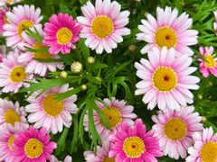 -濠景渔港(汇通店)