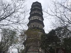 -巢湖姥山岛