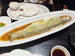 清蒸海鲜汁翘嘴大白鱼-花舍·新派粤菜·西餐·下午茶(亚运村·鸟巢店)