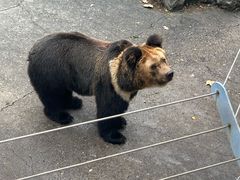 -成都动物园