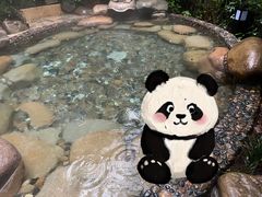 -天目湖涵田半山温泉
