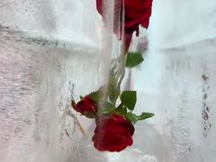 -万达广场(太原街店)