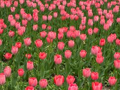 -长春公园(普阳街道)