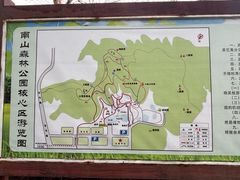 -南山森林公园