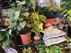 -Thai Basil罗勒叶泰式餐厅(时代天街店)