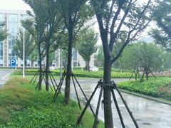 -中国银行江苏省分行培训中心